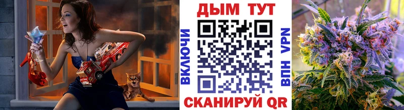 Конопля сатива  Купить где  Пятигорск 